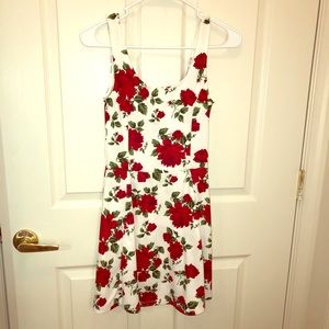 H&M Floral Skater Dress